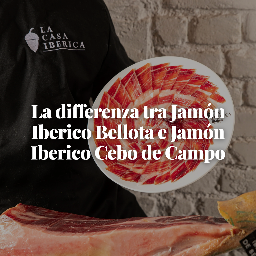 La differenza tra Jamón Iberico Bellota e Jamón Iberico Cebo de Campo
